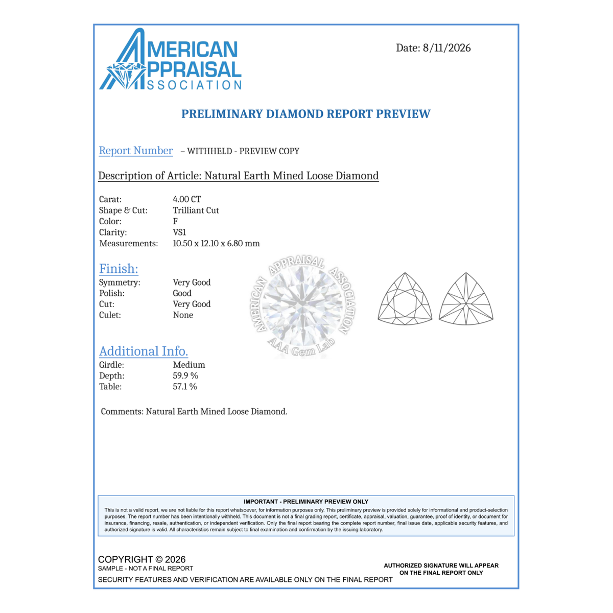 Trillion Cut Loose Diamond 4 Carat Natural F VS1