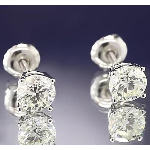 Stud Earrings