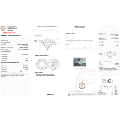 IGI Certificate