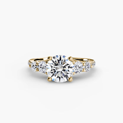natural round diamond 0.49ct band macro detail