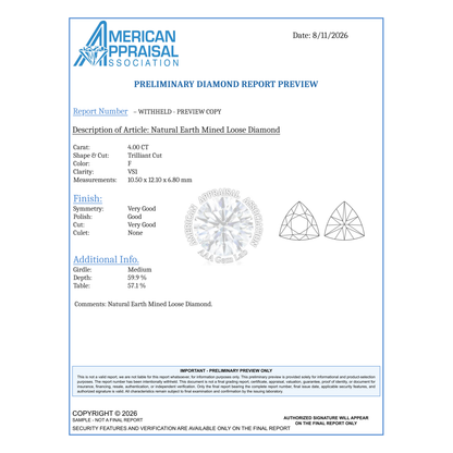 Trillion Cut Loose Diamond 4 Carat Natural F VS1