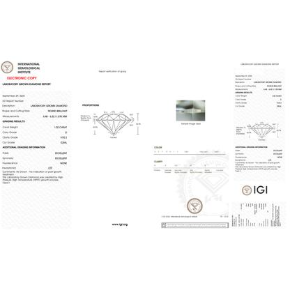 IGI Certificate