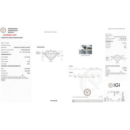 IGI Certificate