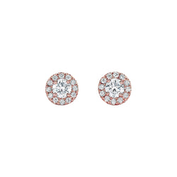 Lady 1.50 Carats Diamonds Studs Earring Halo Rose Gold 14K